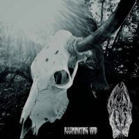 OBSIDIAN HOOVES “Illuminating Void”