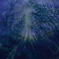 TETRASIGIL “Forest Storm”