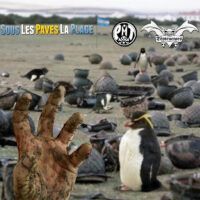 THE DESTRUCTORS / PMT "Sous Les Paves La Plage"