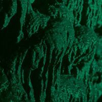 Ch’ahom “Excavation”