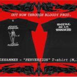 flyer perversion small